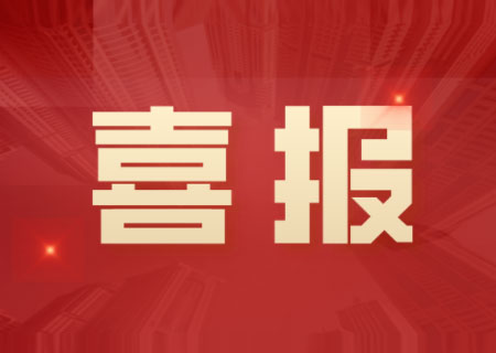 leyu.乐鱼电子2项成果获中央企业党建政研会研究课题表彰