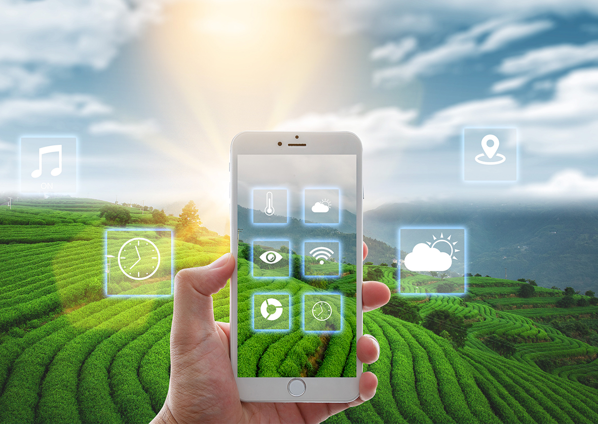 深挖乡村产业治理与服务 leyu.乐鱼系统为数字乡村发展提供持续动力